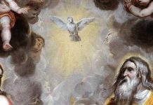 Trinity Sunday – In the name of the Father, Son and Spirit