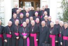 Bishop attends “open and engaging” meeting with Pope