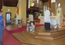 St Teresa of Calcutta relic visits the Diocese of Meath