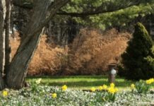 Bishop Michael Smith issues guidelines on the Funeral Mass