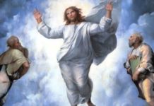 Second Sunday of Lent: Forty days of transfiguration time