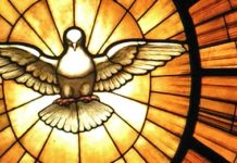 Pentecost Sunday – the Holy Spirit is the soul of the Church