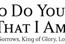 Twelfth Sunday in Ordinary Time: serving in small things