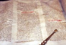 Twenty Second Sunday: Reflect on the Interior Life of Faith