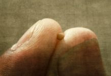 Sunday 6 October – Increasing faith by generous service