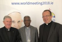 Cardinal Turkson includes Meath in his WMOF itinerary