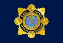 Garda Vetting
