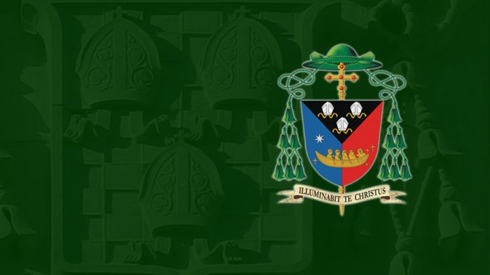 Statement-Bishop-Deenihan